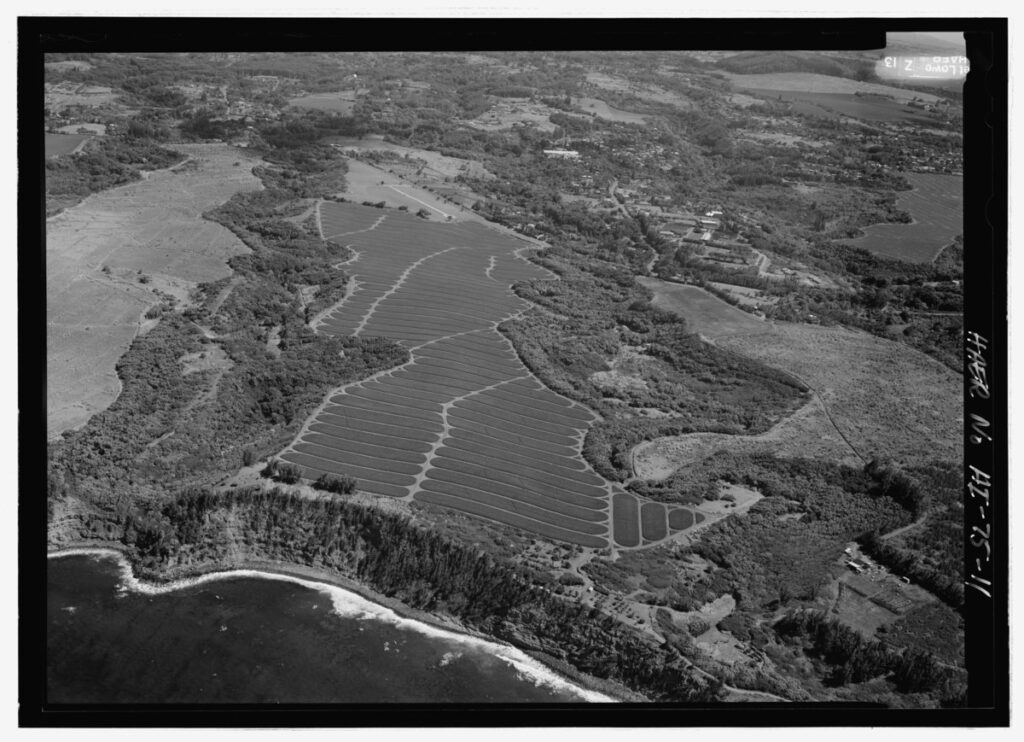 Road To Hana, Maui — Hawaii's 2026–2028 Plan Targets Road to Hana, Honolua Bay, and Kaupo | Maui Tom's News