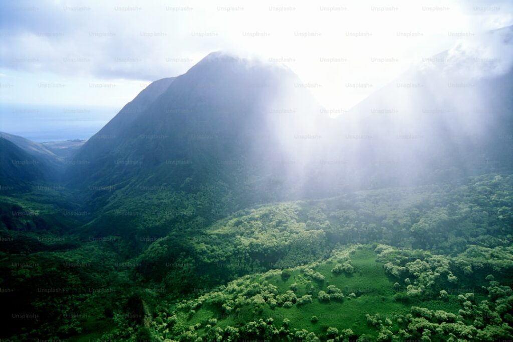 an aerial view of a lush green valley — HEI Posts $123M Q2 Profit Driven by Wildfire Settlement Accounting Shift | Maui Tom's News