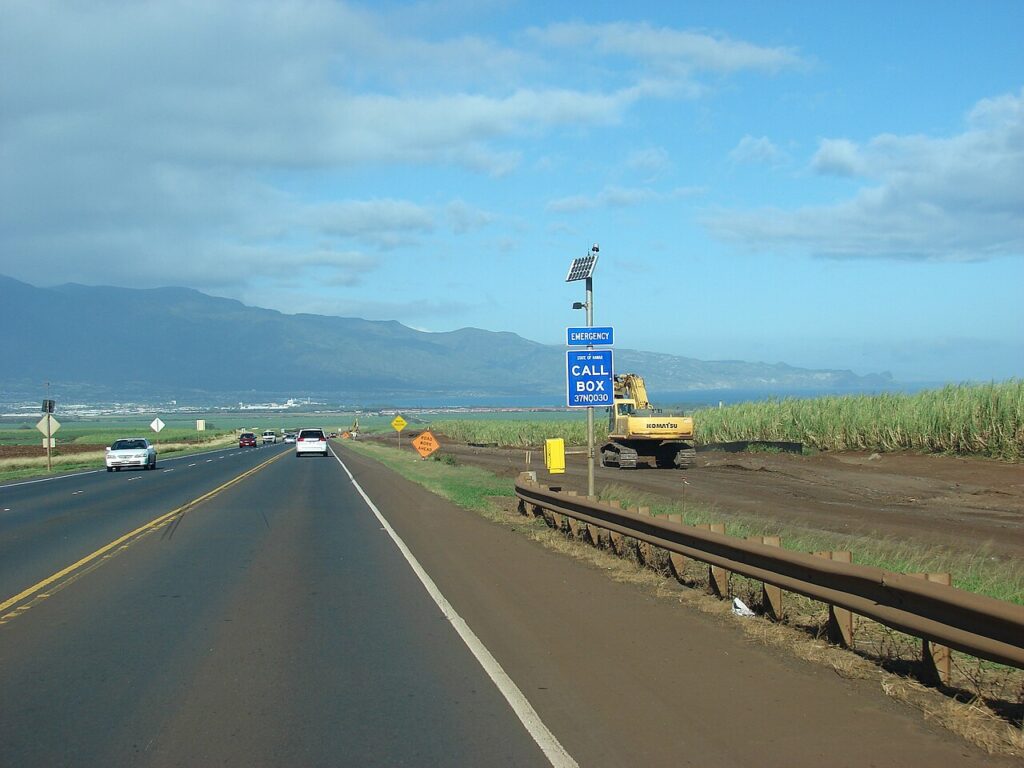 Saccharum officinarum (Ko, sugarcane) Highway construction at Haleakala Hwy, Maui, Hawaii. February 07, 2007 [http://www.starrenvironmental.com/images/search/?q=070207-4250 #070207-4250</a> - — Maui Council Sends Subdivision Water Review Bill Back for More Study | Maui Tom's News