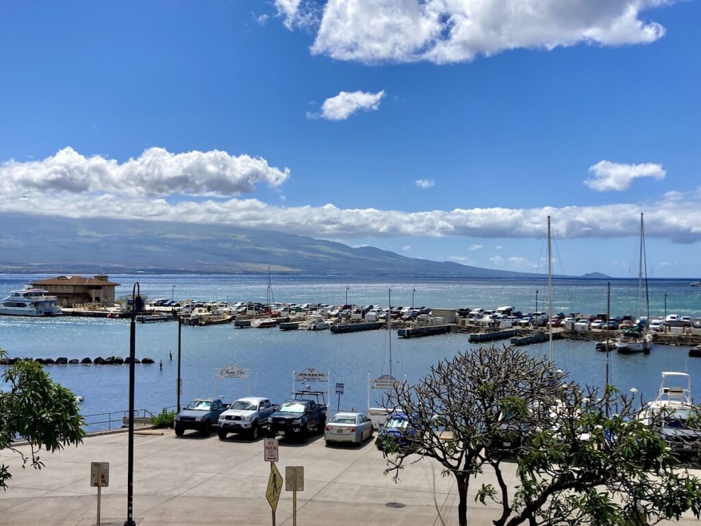 Ma'alaea Harbor Maui — Maui County Expands Free Bus Access to Students, Seniors, and Higher-Income Residents | Maui Tom's News