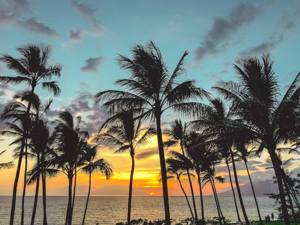 palm trees facing the sea — Puunene Brush Fire Extinguished Within 30 Minutes on August 11 | Maui Tom's News