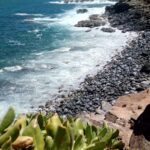 Coastal rocky shoreline with waves crashing against rocks and green foreground plants under a clear blue sky
