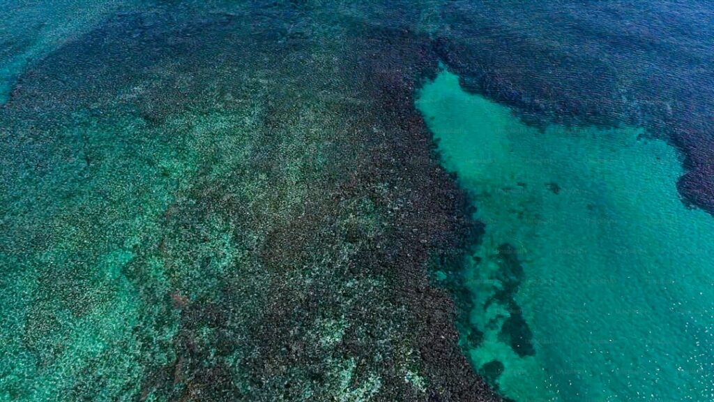 Selenium Detected in South Maui Water System, Levels Deemed Safe - Maui Tom's Vacation Rental Cleaning & Maintenance Aerial view of the sea near Bavaro Beach in the Dominican Republic — Selenium Detected in South Maui Water System, Levels Deemed Safe | Maui Tom's News