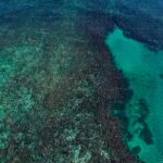 Selenium Detected in South Maui Water System, Levels Deemed Safe - Maui Tom's Vacation Rental Cleaning & Maintenance Aerial view of the sea near Bavaro Beach in the Dominican Republic — Selenium Detected in South Maui Water System, Levels Deemed Safe | Maui Tom's News