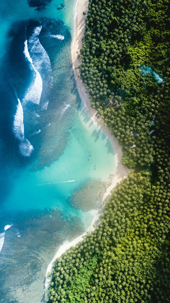 Aerial view of a tropical coastline: turquoise water meets a white-sand beach beside a dense palm forest.