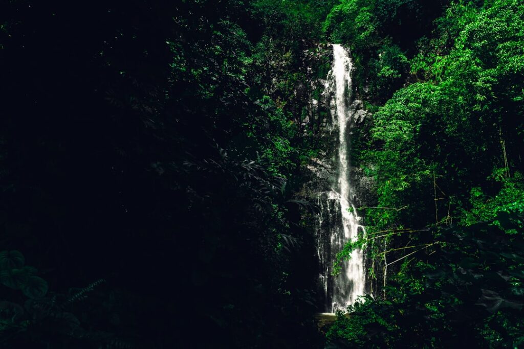 Road to hana waterfall Insta: @sichpicsss — Tropical Storm Conditions Expected on Maui Saturday with 60mph Gusts | Maui Tom's News