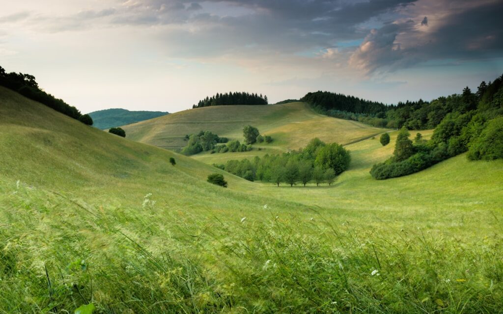 Ranch land and farm — Axis Deer Cutting Maui Ranch Forage by 24%, Study Finds | Maui Tom's News