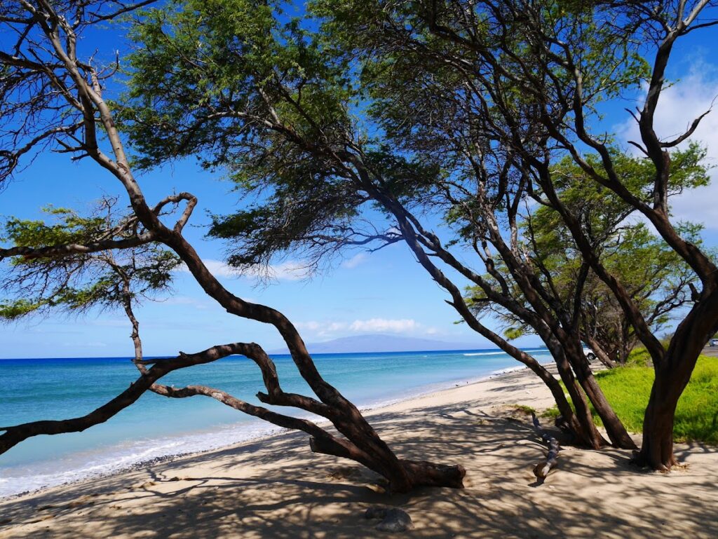 Ukumehame Beach Maui — Hurricane Lowell Brings Flooding, Outages, and Road Closures to Maui | Maui Tom's News