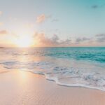 Tropical beach with palm trees — Hurricane Lowell Forces Multiple Road Closures Across Maui | Maui Tom's News