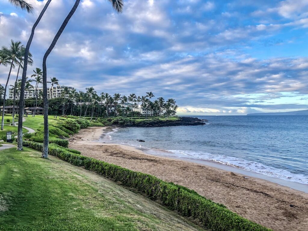 Tropical beachfront with palm trees, a grassy park, and a sandy shore meeting calm blue water under a cloudy sky