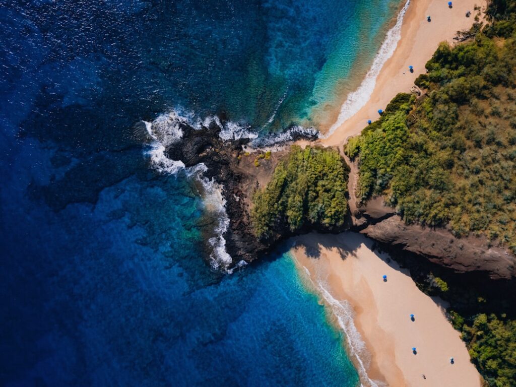 Beautiful beaches meet the deep ocean. — Little Fire Ant Infestations Found in Ha'ikū and Kapalua, Spanning Up to 125 Acres | Maui Tom's News