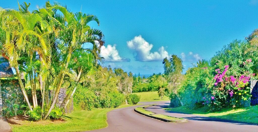 Haiku Northern Maui, Hawaii — Makawao Water Outage Affects Olinda Road Area Until ~8 PM | Maui Tom's News