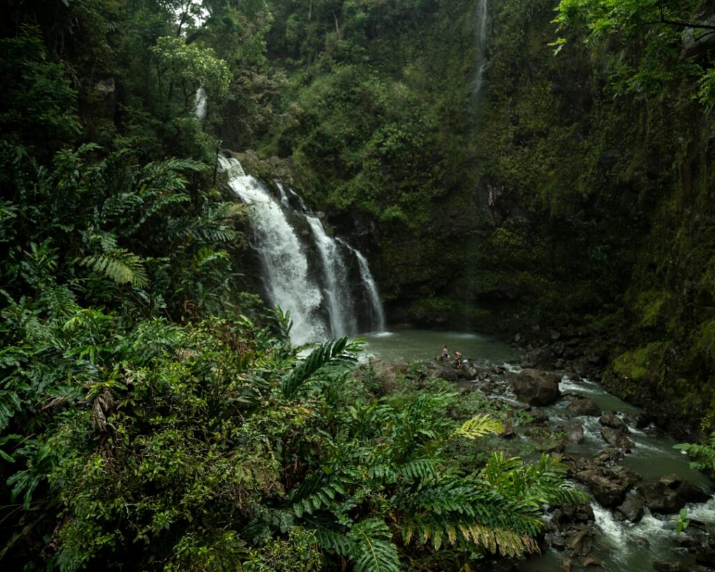 time lapse photography of falls in the jungle — Maui Faces Multiple Hurricane Threats as Lowell, Karina Approach | Maui Tom's News