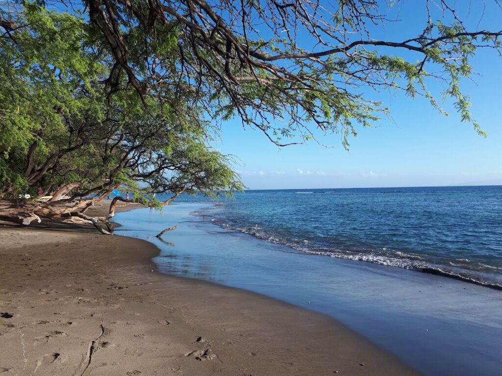 Olowalu Beach Maui — Maui Farmers Face Back-to-Back Storm Damage as Two More Systems Approach | Maui Tom's News