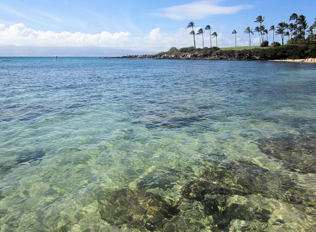Clear Water at the Kapalua Bay on the North-Shore of Maui. — Maui Fire Dept Receives $29,500 Grant for Wildfire Equipment | Maui Tom's News