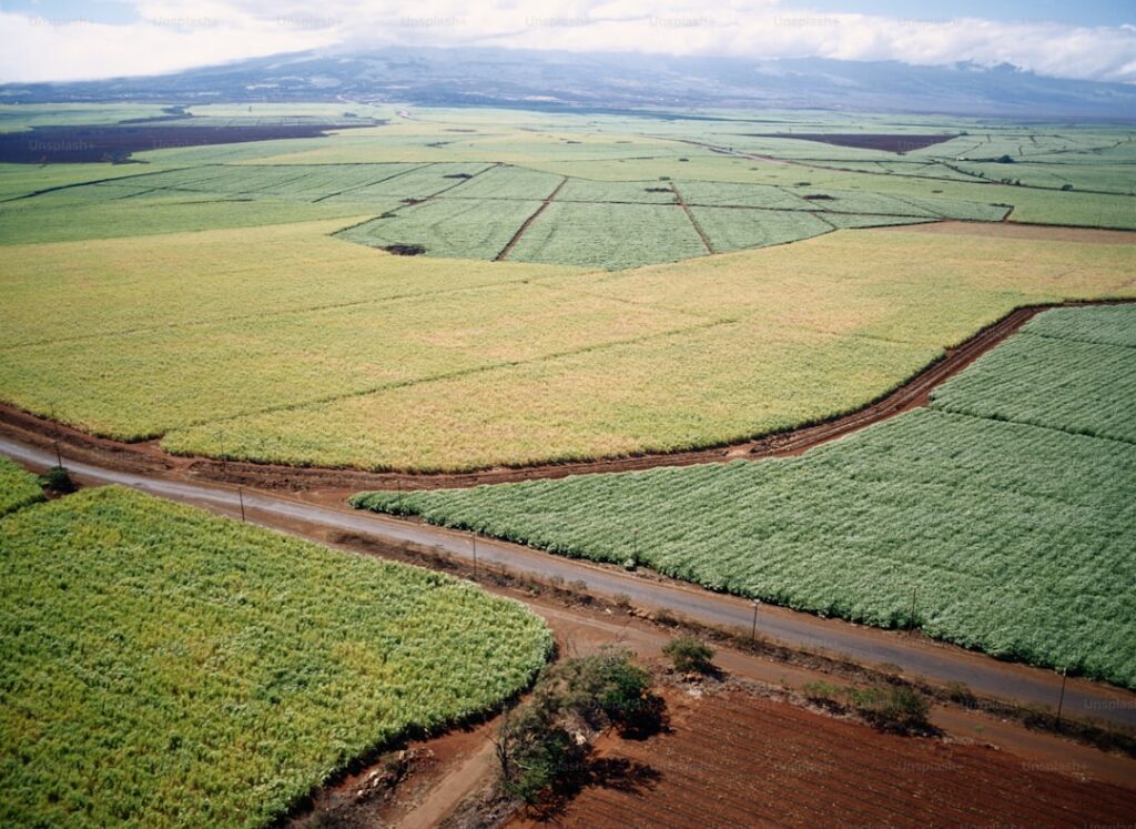 an aerial view of a road running through a field — Maui-Wide Rain, Wind, and Thunderstorms Expected Through Friday | Maui Tom's News