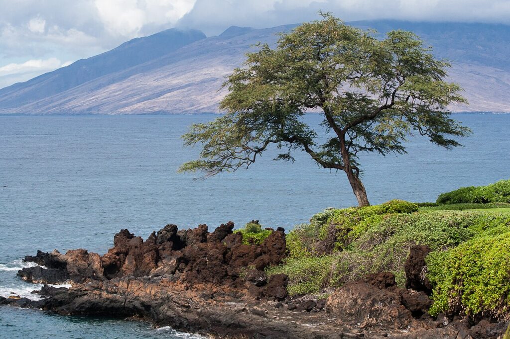 Way back in November 2011 I had a chance to spend a few days on Maui - it was my first time there in over 10 years and I had forgotten how nice it was. I did the normal things an Alaskan going to Hawa — South Maui Growth Plan Raises Infrastructure Cost and Evacuation Concerns | Maui Tom's News