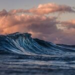 Temporary Lahaina Library Installed, Expected to Open Early 2027 - Maui Tom's Vacation Rental Cleaning & Maintenance Tropical waterfront scene — Temporary Lahaina Library Installed, Expected to Open Early 2027 | Maui Tom's News